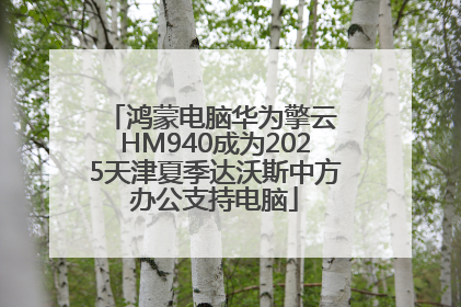 鸿蒙电脑华为擎云 HM940成为2025天津夏季达沃斯中方办公支持电脑